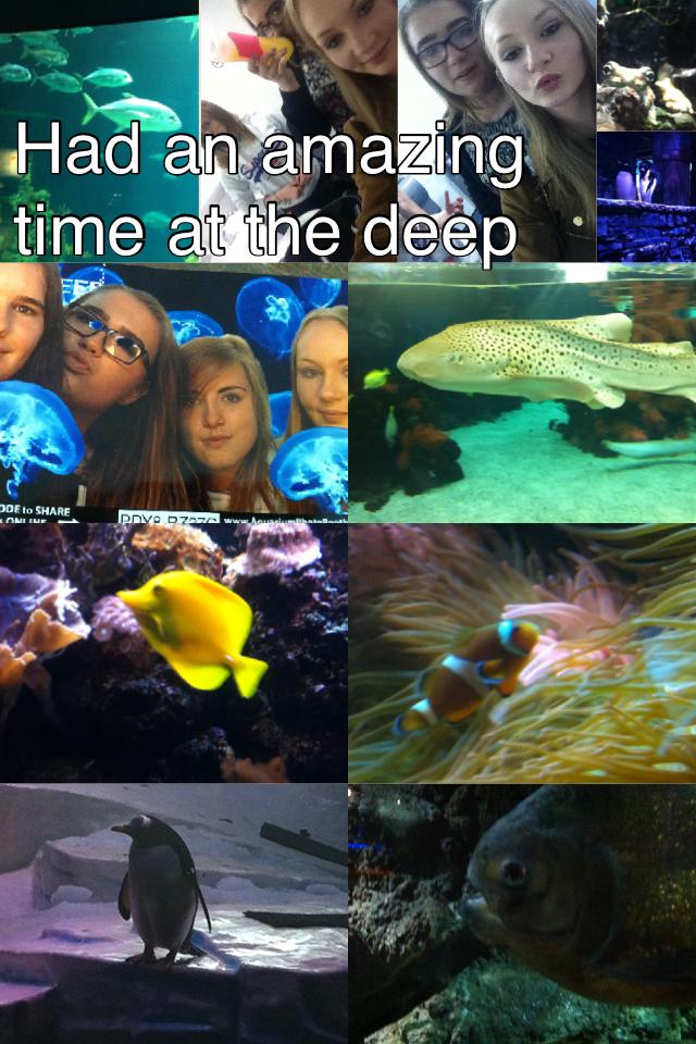 Had an amazing time at the deep