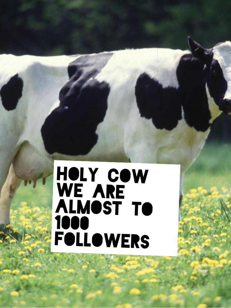 Holy cow we are almost to 1000 FOLLOWERS 