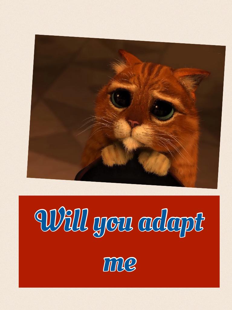 Like to adopt 