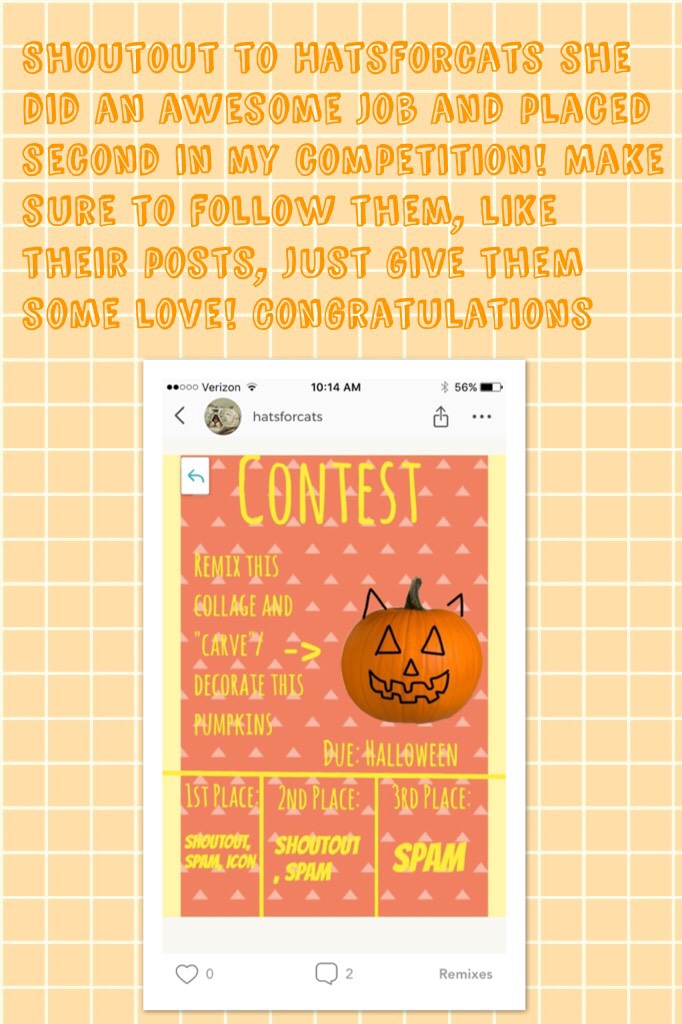Shoutout to Hatsforcats she did an awesome job and placed second in my competition! Make sure to follow them, like their posts, just give them some love! Congratulations 