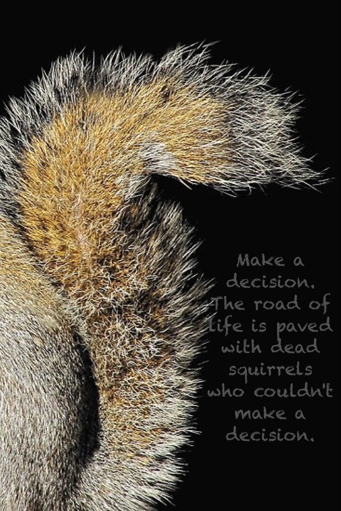 Make a decision. The road of life is paved with dead squirrels who couldn't make a decision.