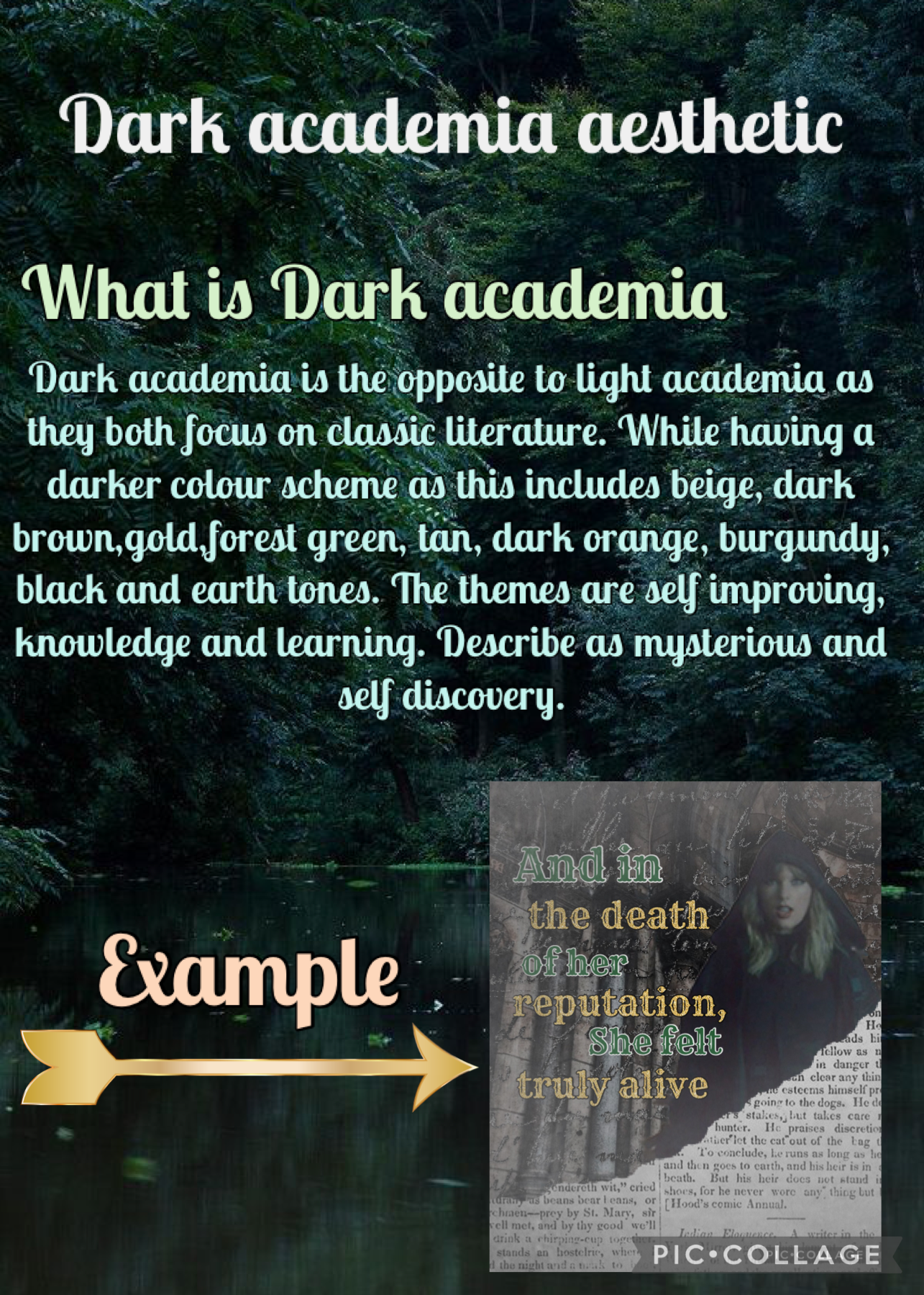 27.11.21 Dark academia aesthetic part of the aesthetic series 