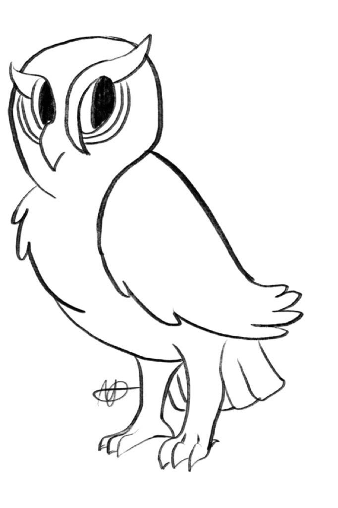 have a random owl