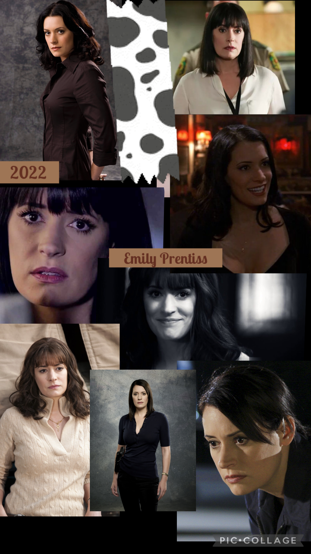 Agent Prentiss from criminal minds 