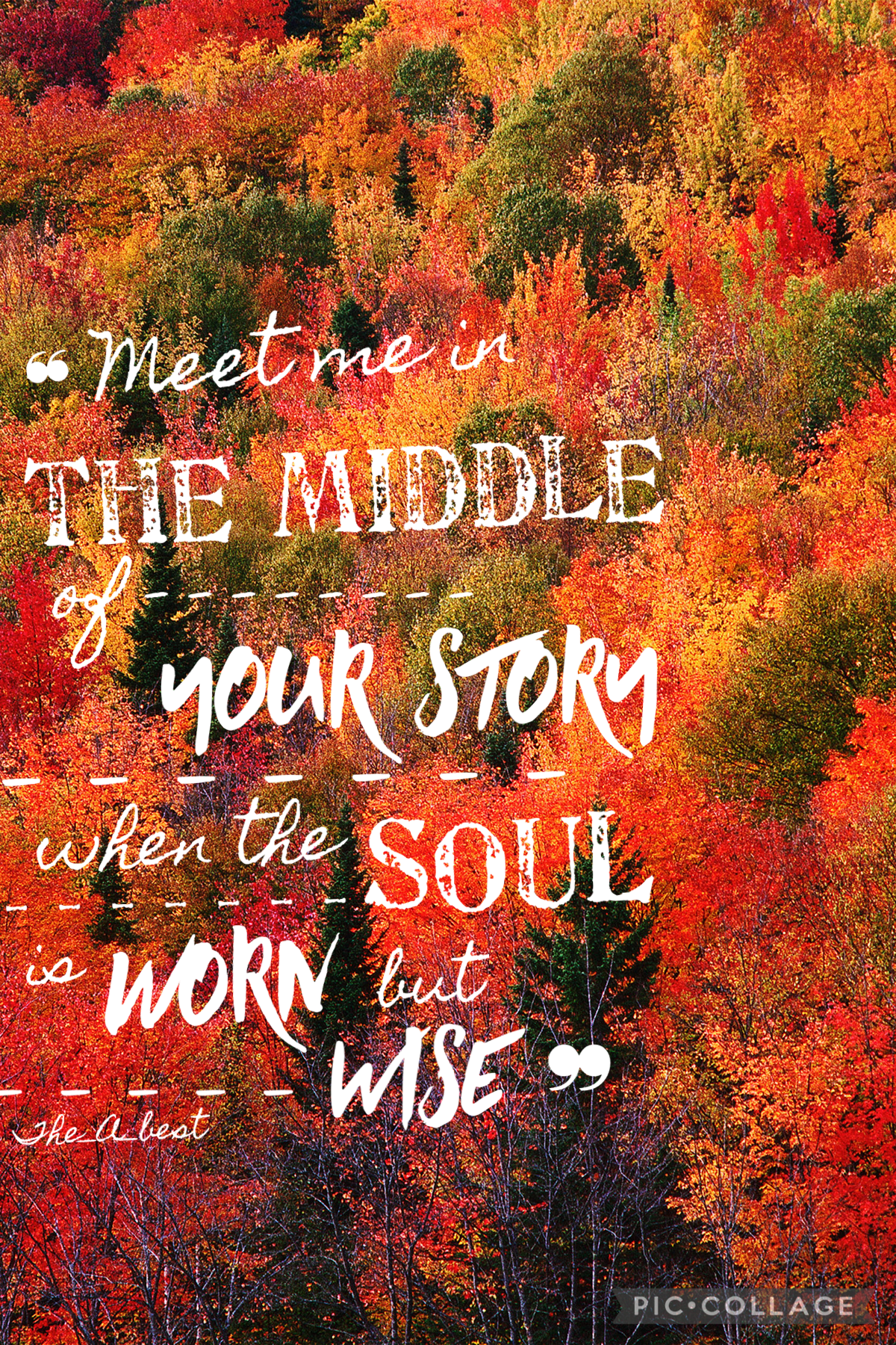 Fall quote