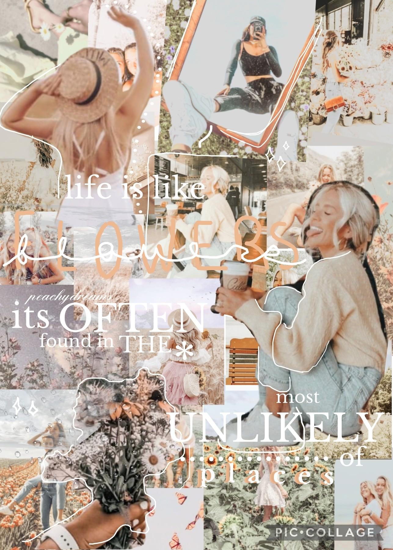 🌸2/17/2022🌸
Inspired by a collage by the one and only @wisteria-  Ya'll she is the sweetest person and SO talented!! I made this collage out of random photos i had saved and tried to make a collage when the power was out for a few hours haha i think it tu