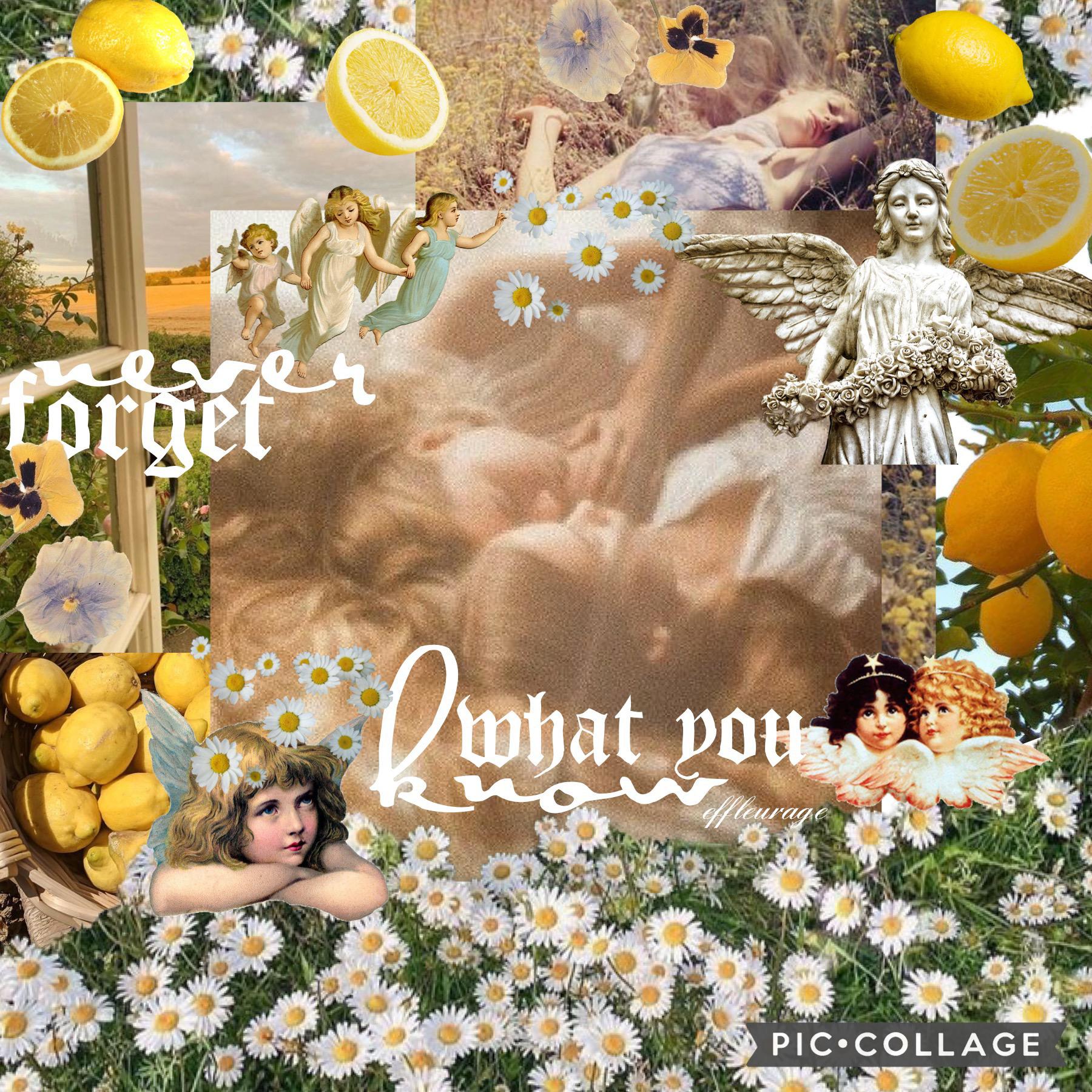 🍋tap🍋

i really like thisss! once again, this is inspired by multiple people so irdk who to credit bc i go and look at a bunch of collages not looking who made them and then like get ideas idk 🤷‍♀️ anyways, i hope you have a good rest of your day/evening/