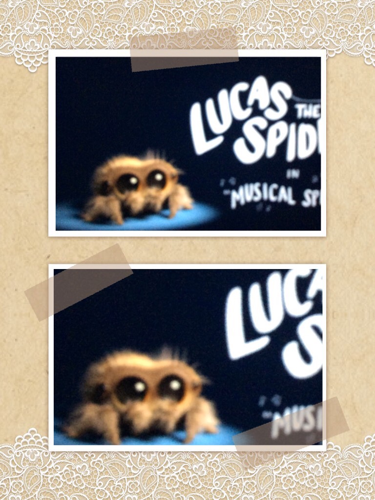 This pic is for you Lucas the Spider fans