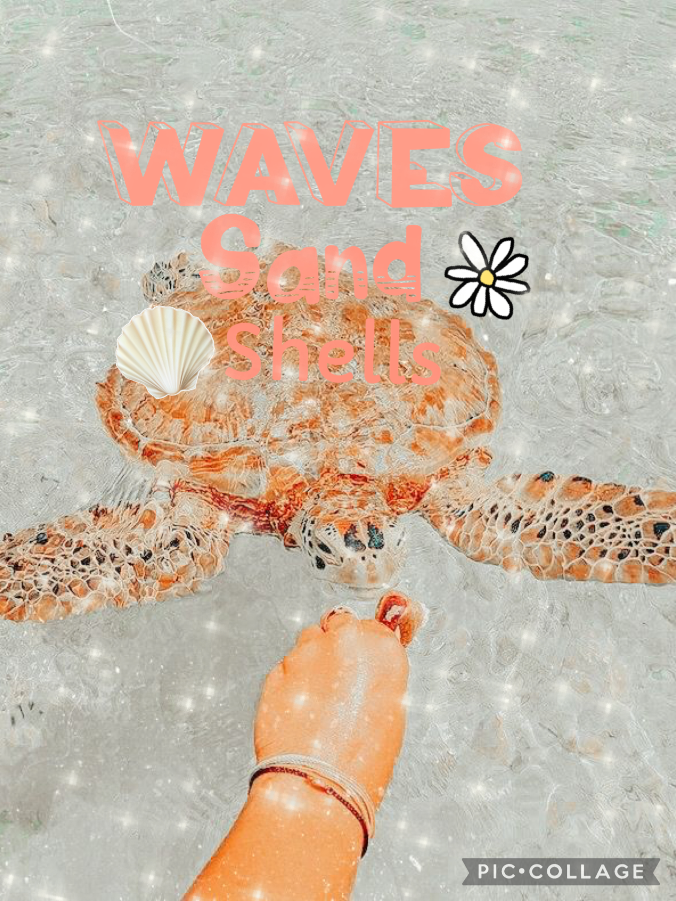 🌊 waves 🌊 
🏝 sand 🏝 
🐚 shells 🐚 
