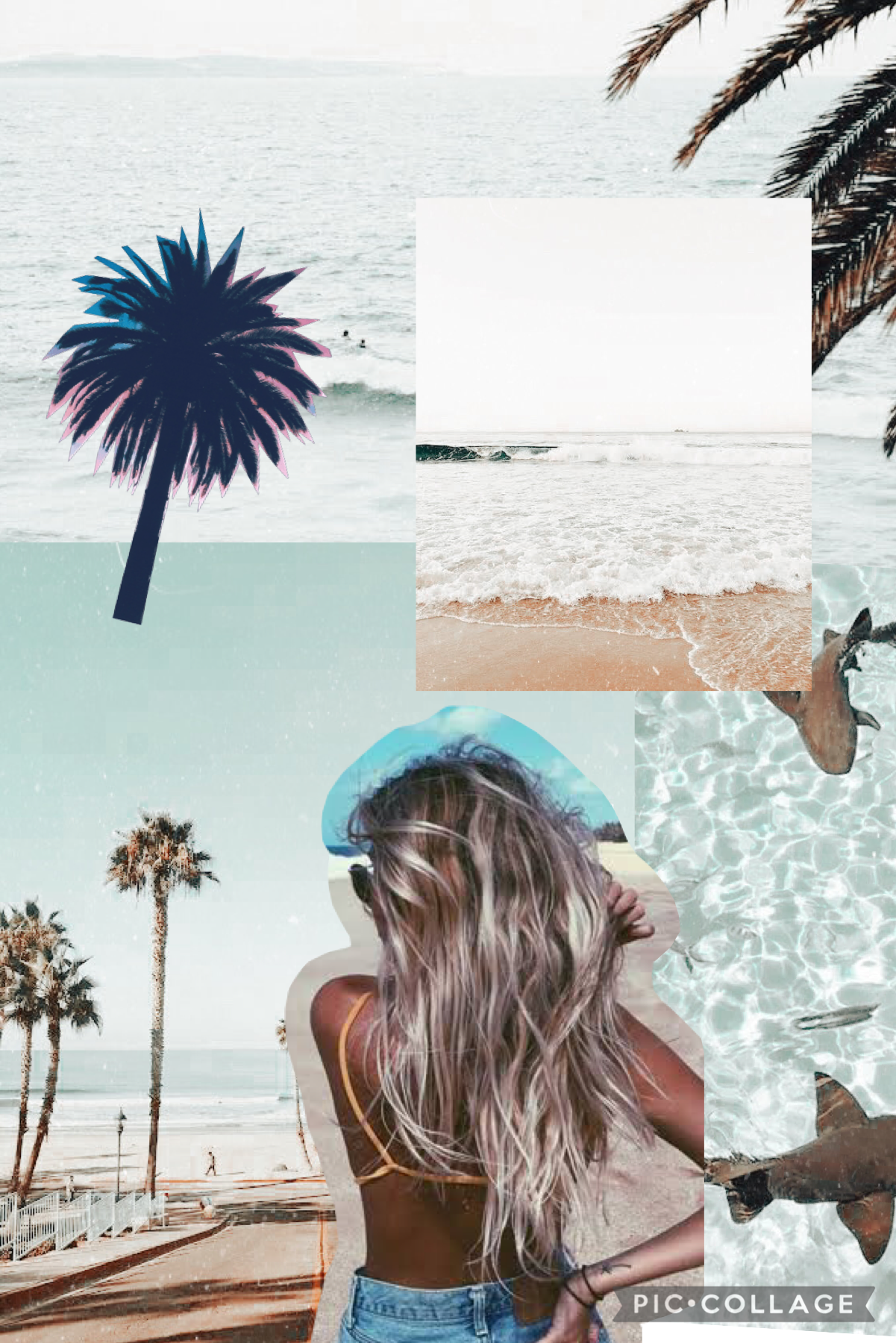 Another beachy collage ✌🏽🤙🏽
