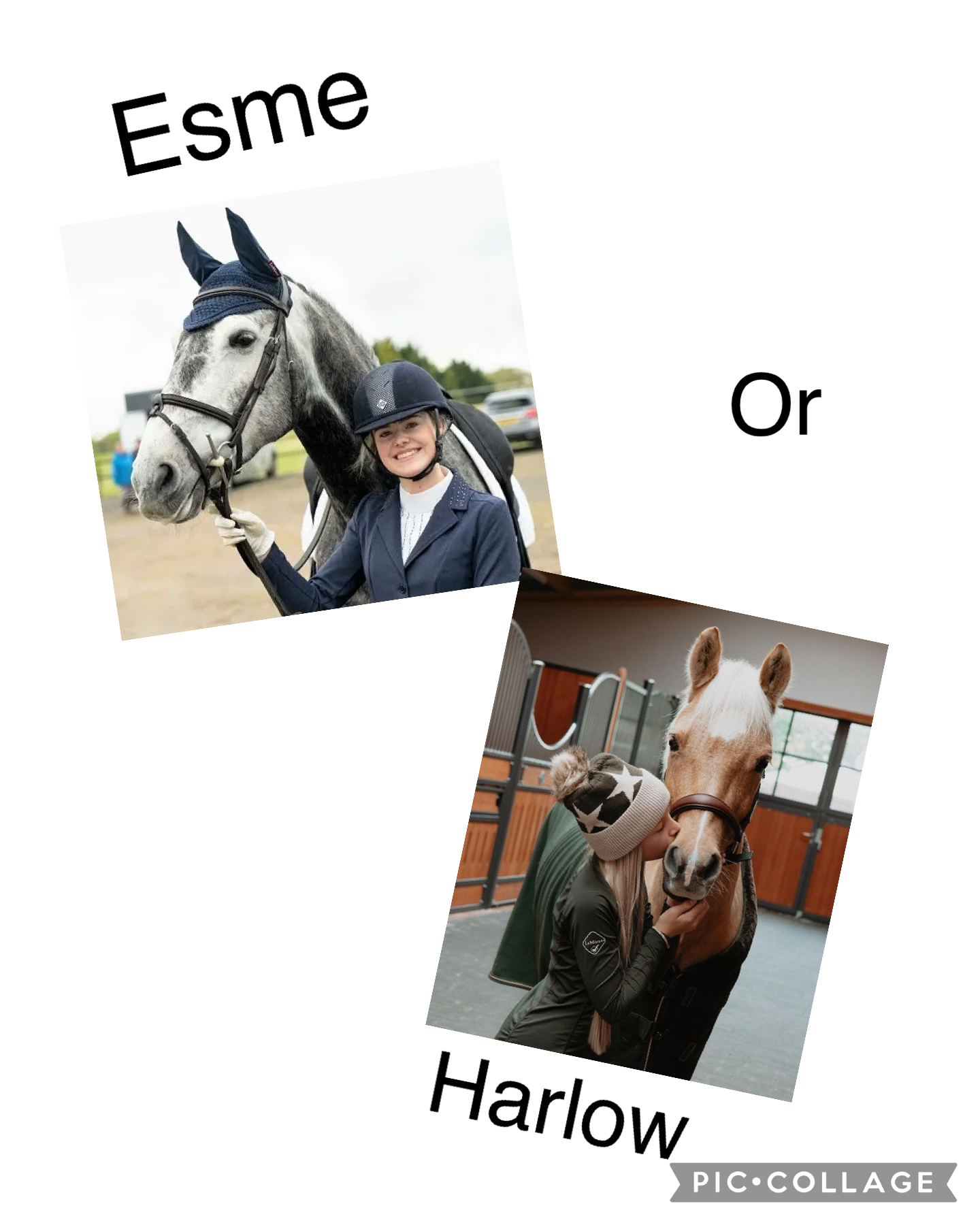 Esme or Harlow 