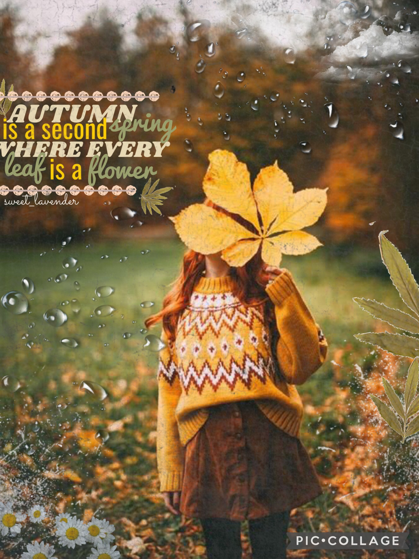 🍁09-24-21🍁 tap for caption pls…
Heyyy!! Here is another autumn collage!:))
Entry for mini_mushie ‘s contest! Go enter too!
Qotd: do you ever read my captions? Lol
