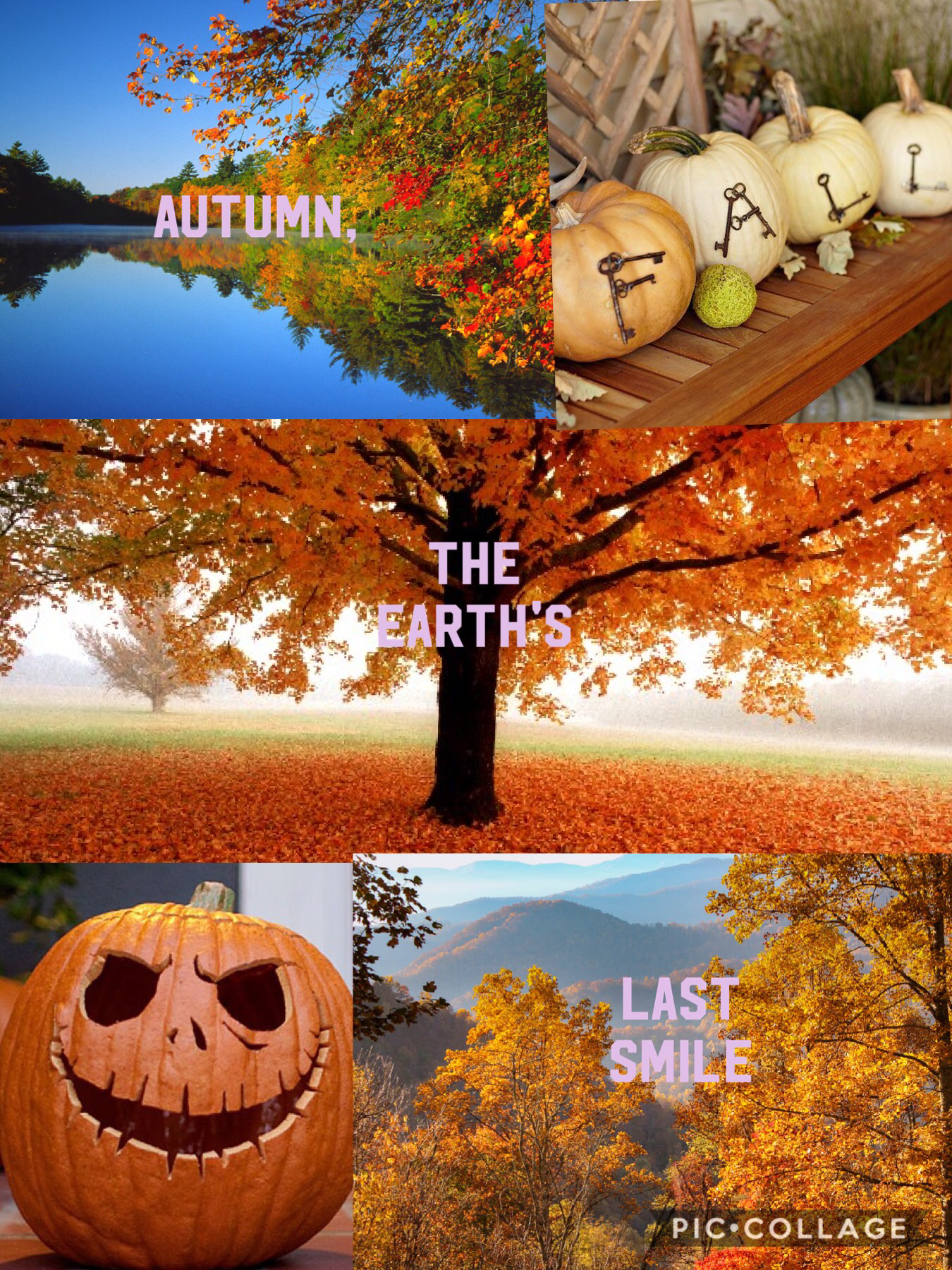 "Autumn, the earths last smile."