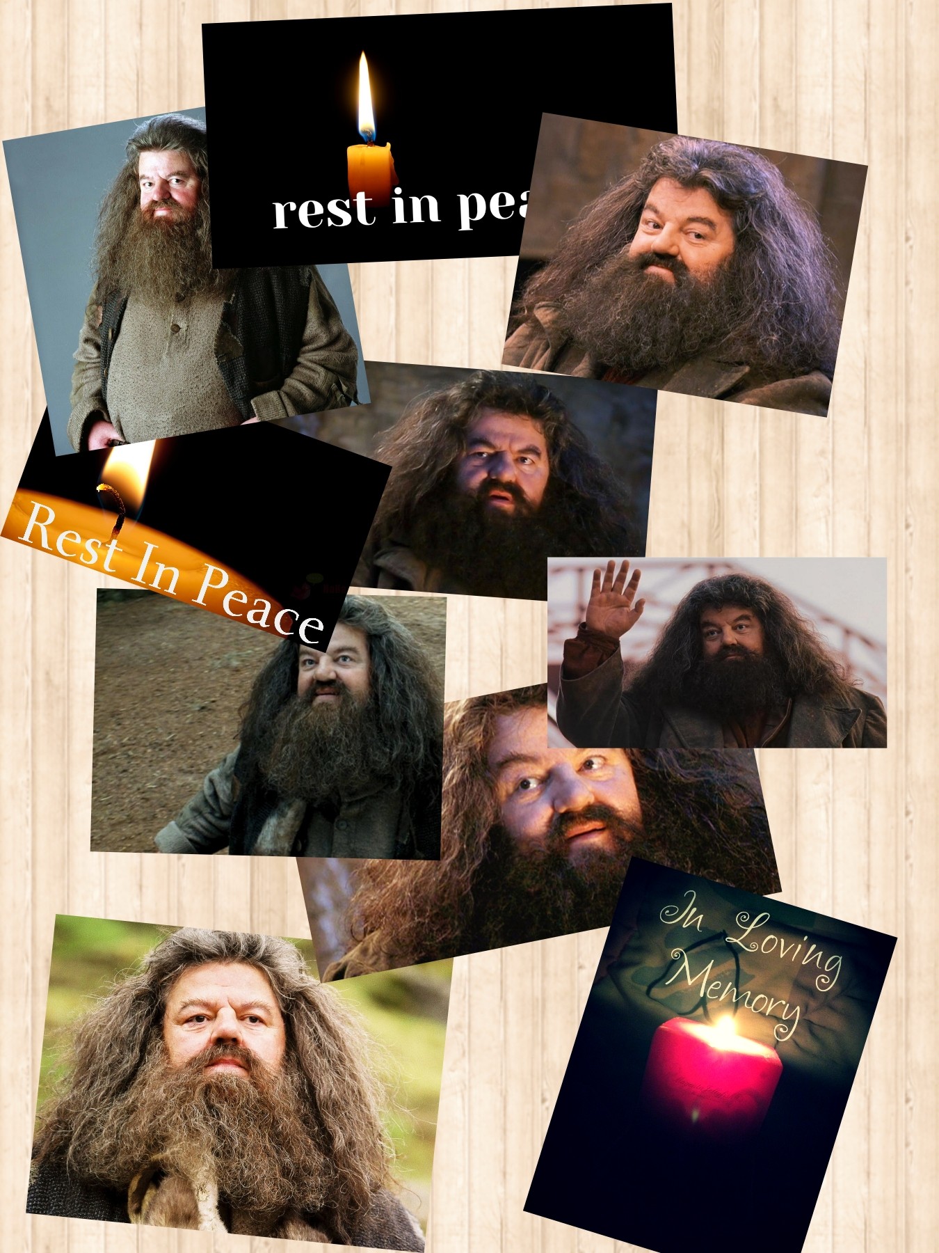 RIP Hagrid 🥲😔😢