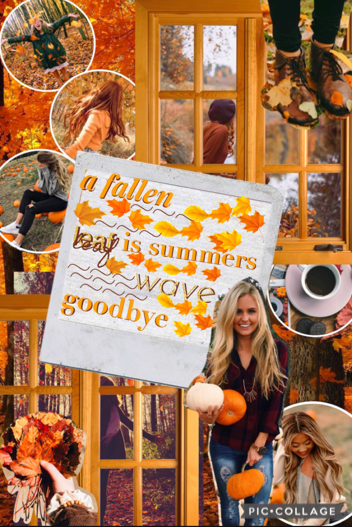 🍂tap🍂
fall is almost over and im so excited for christmas!but i thought id hit y'all with one more fall collage i have been meaning to post for forever oops😂anyways i hope everyone had a fun halloween and has a happy thanksgiving 