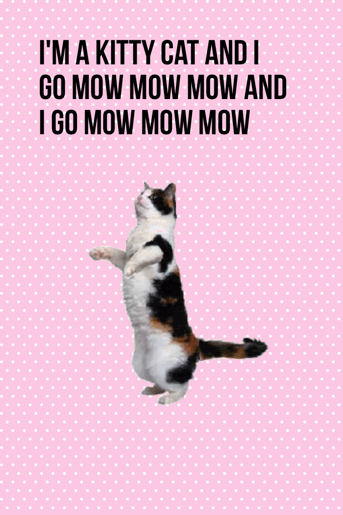 I'm a kitty cat and I go mow mow mow and I go mow mow mow