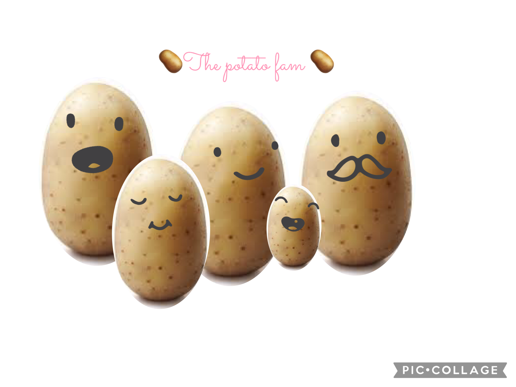 🥔🥔🥔The potato fam🥔🥔🥔