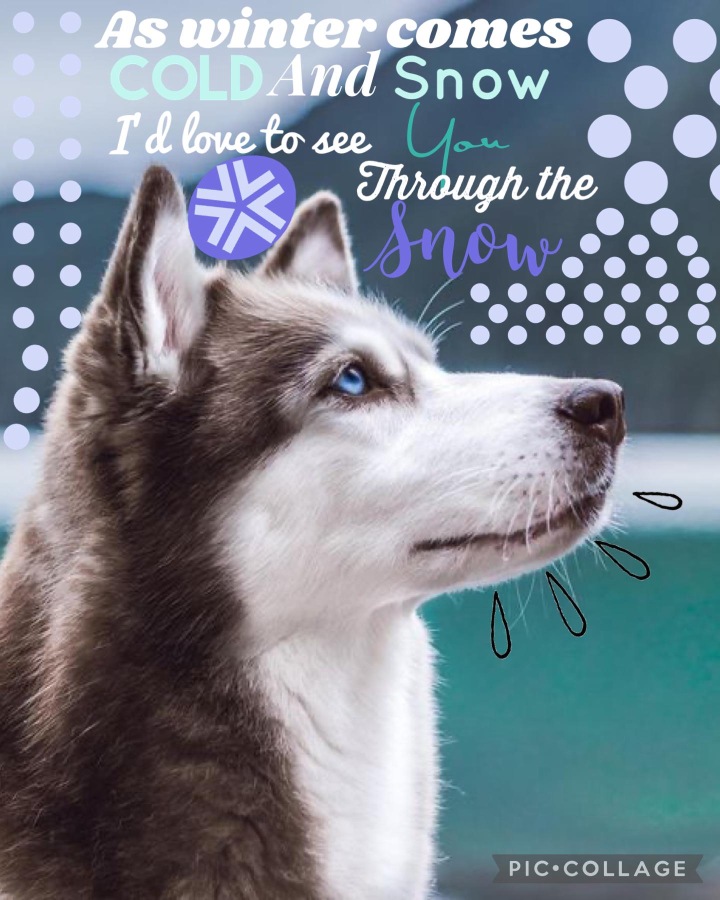 Tap 
I just came up with the text 
And but you might know
(I’m in love with fox/red pandas and wolf)
But this is a husky so…