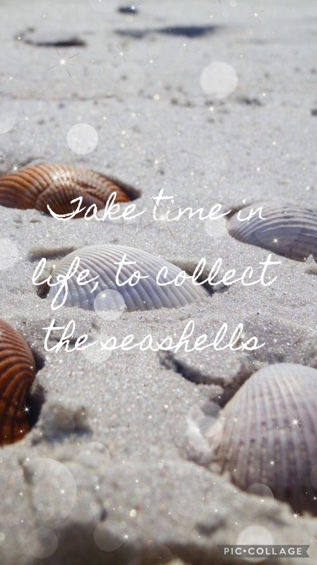 Take the time in life to collect the seashells 🐚🐚🐚