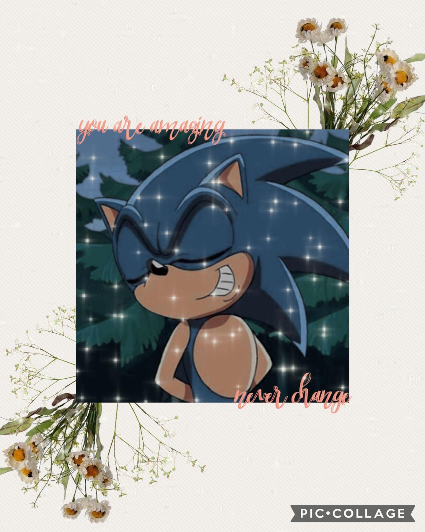 I love how this came out! For those of u who don't know, this is my main man (well, hedgehog) that has helped me be who i am today! If it werent for him, i'd still be the jerk i was a few years ago. Say hello to Sonic the Hedgehog!