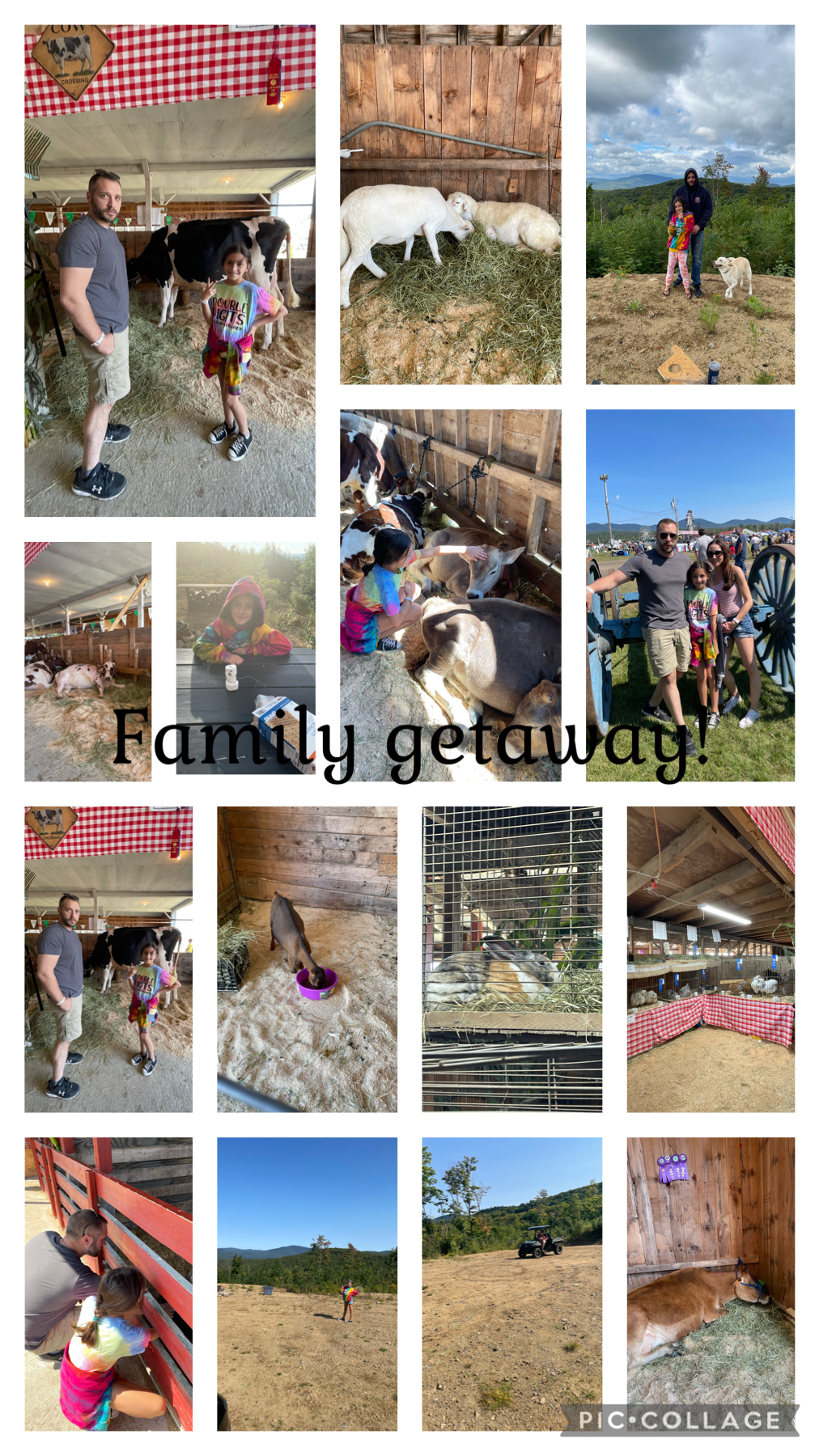 It was so fun! What are you all up to? #familygetaway #animals #lancasterfair