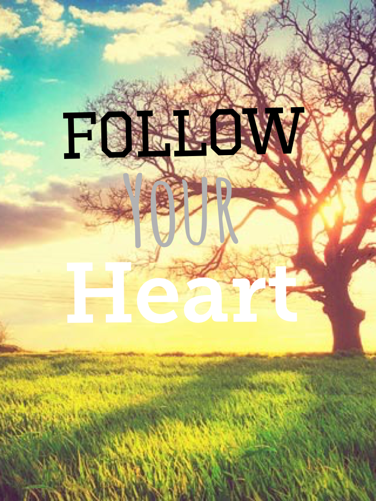 Follow your heart don't be afraid 