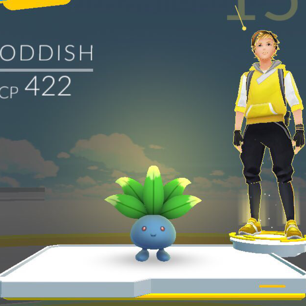 When you gotta get the gym quick so you just -
(Btw I didn't do this but I saw it in my town) 
