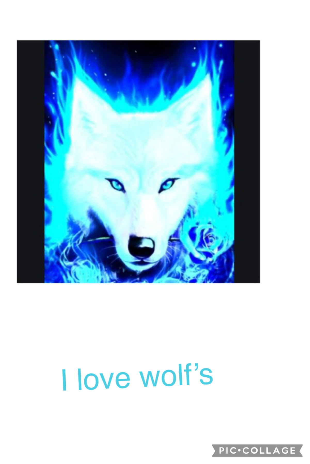 What’s your favorite animal? Tell me in the comments below please, my favorite animal is a wolf 