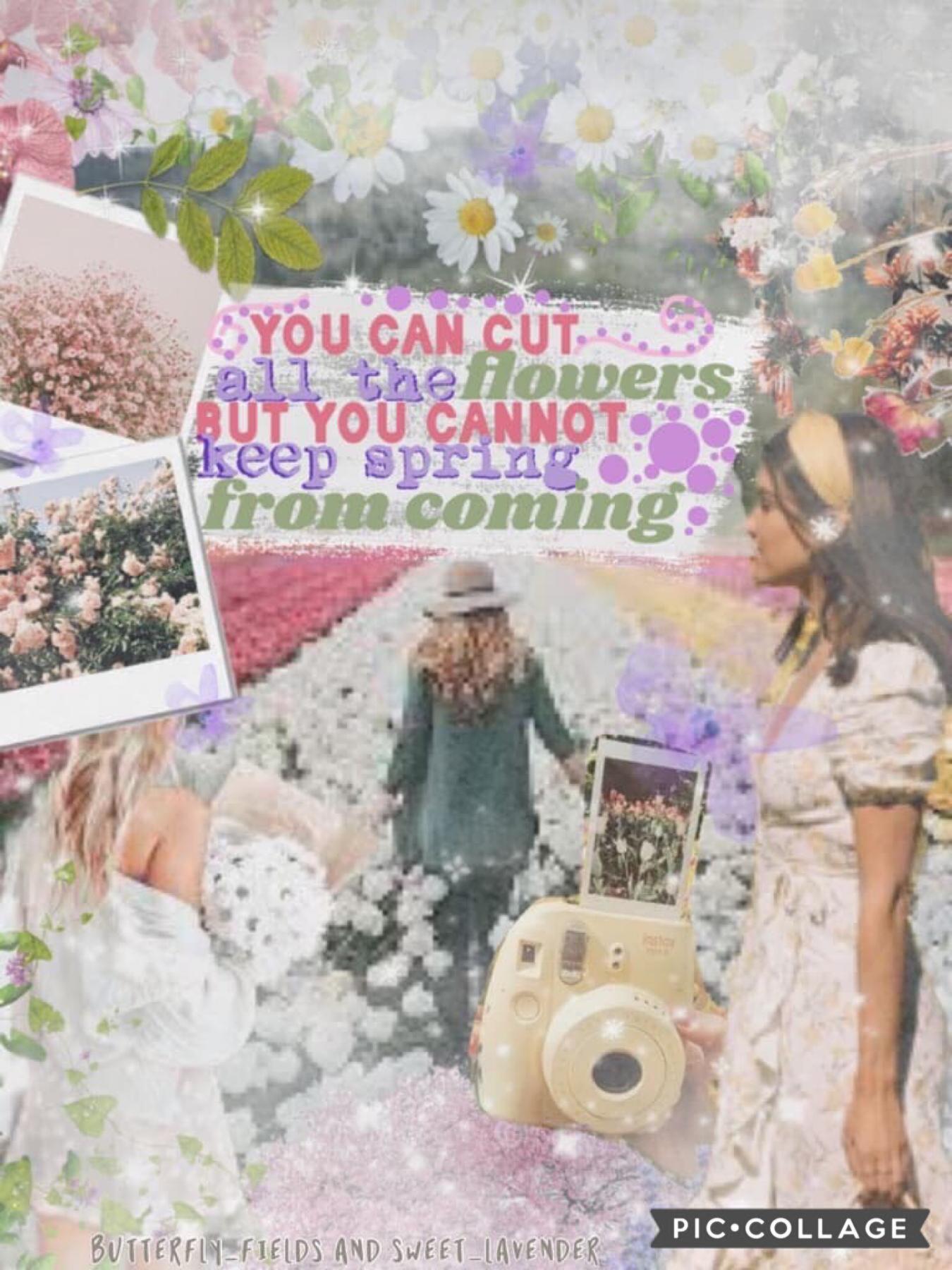 3.28.22         TAP
Entry to @ChasingRoses contest
and it’s a collab with an AMAZING sweet_lavender please go and follow her (if you didn’t yet) this collage is inspired by @CrashingWaters please go and follow her (if you didn’t yet) her acc is AMAZING an