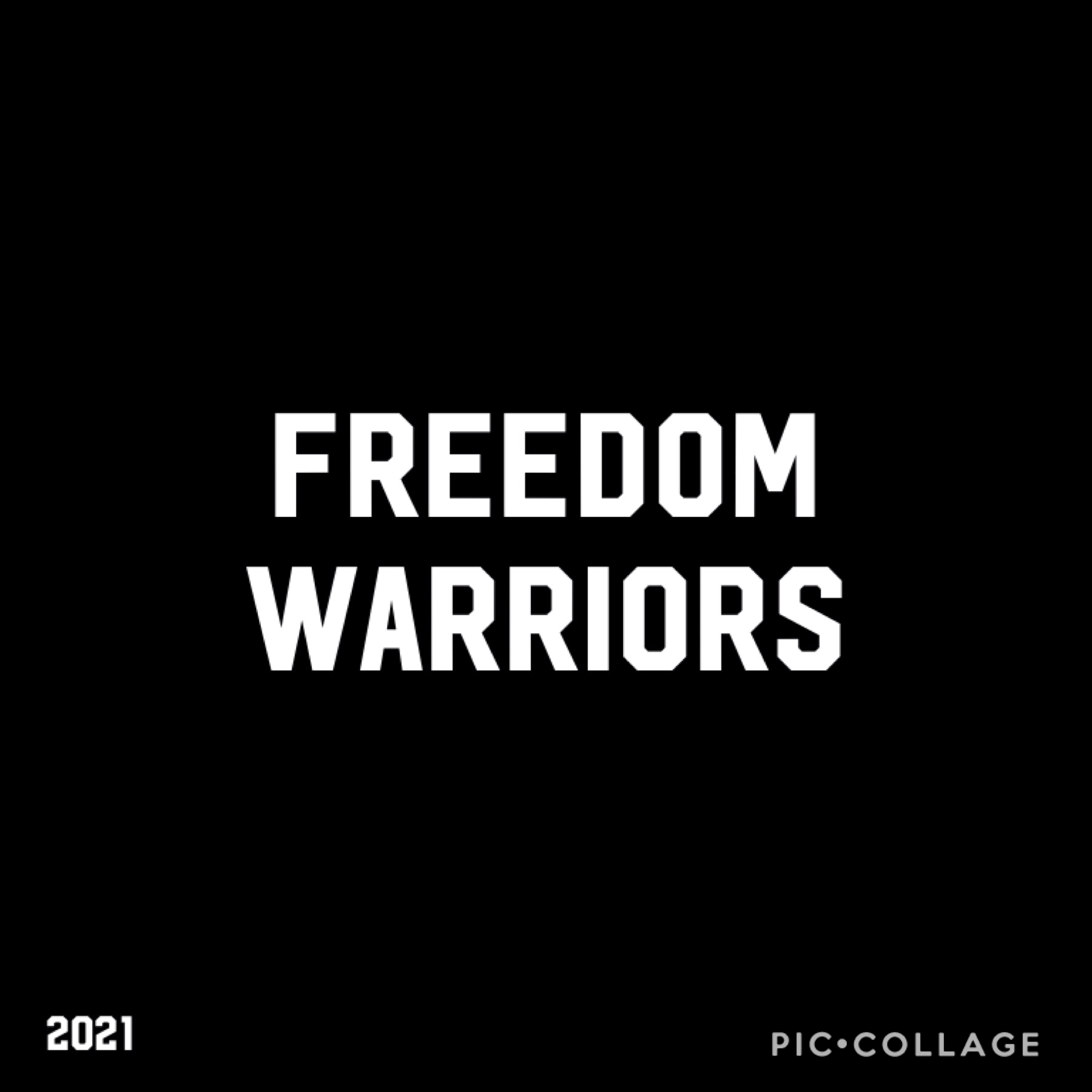 Freedom Warriors ( 2021)