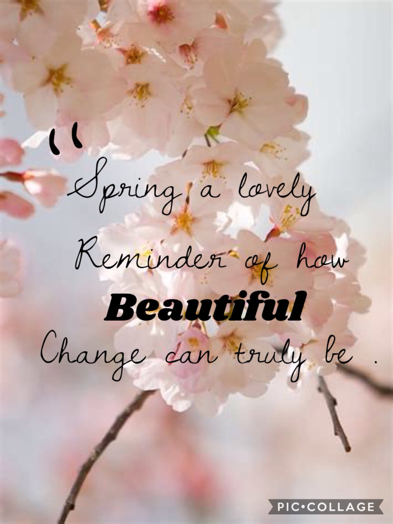 Spring ( Quote )