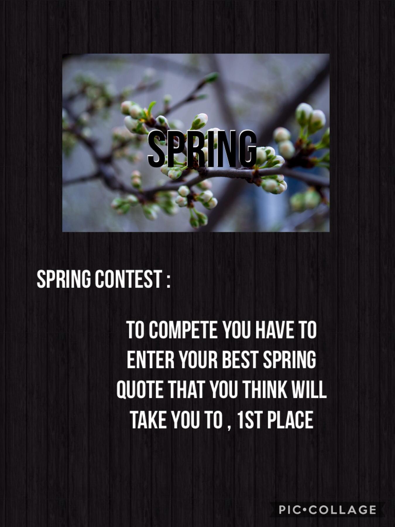Spring Contest 