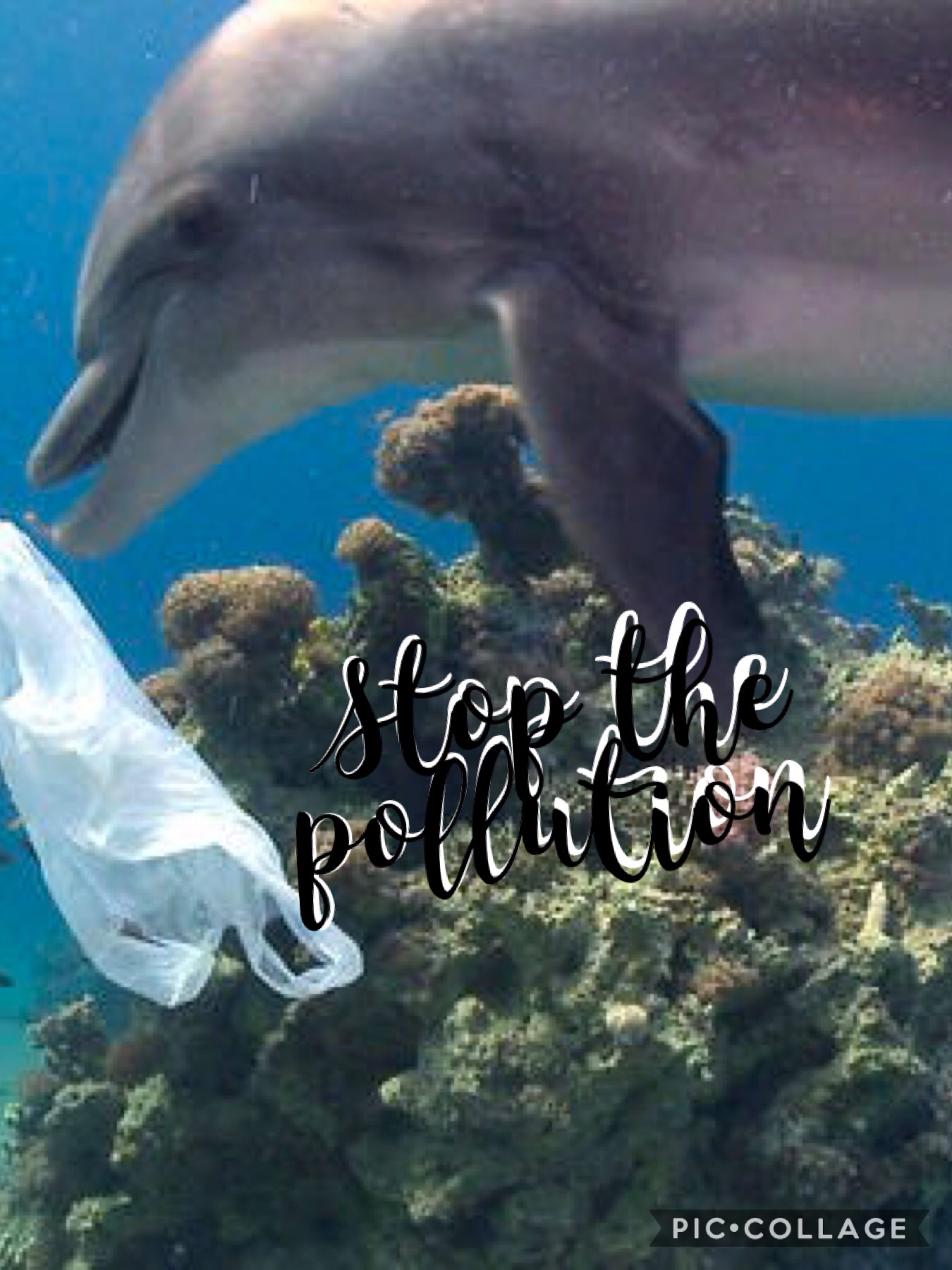 Quotes " Stop the pollution "