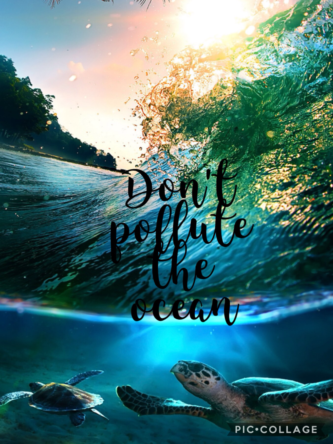 Quotes " Don't pollute the ocean "