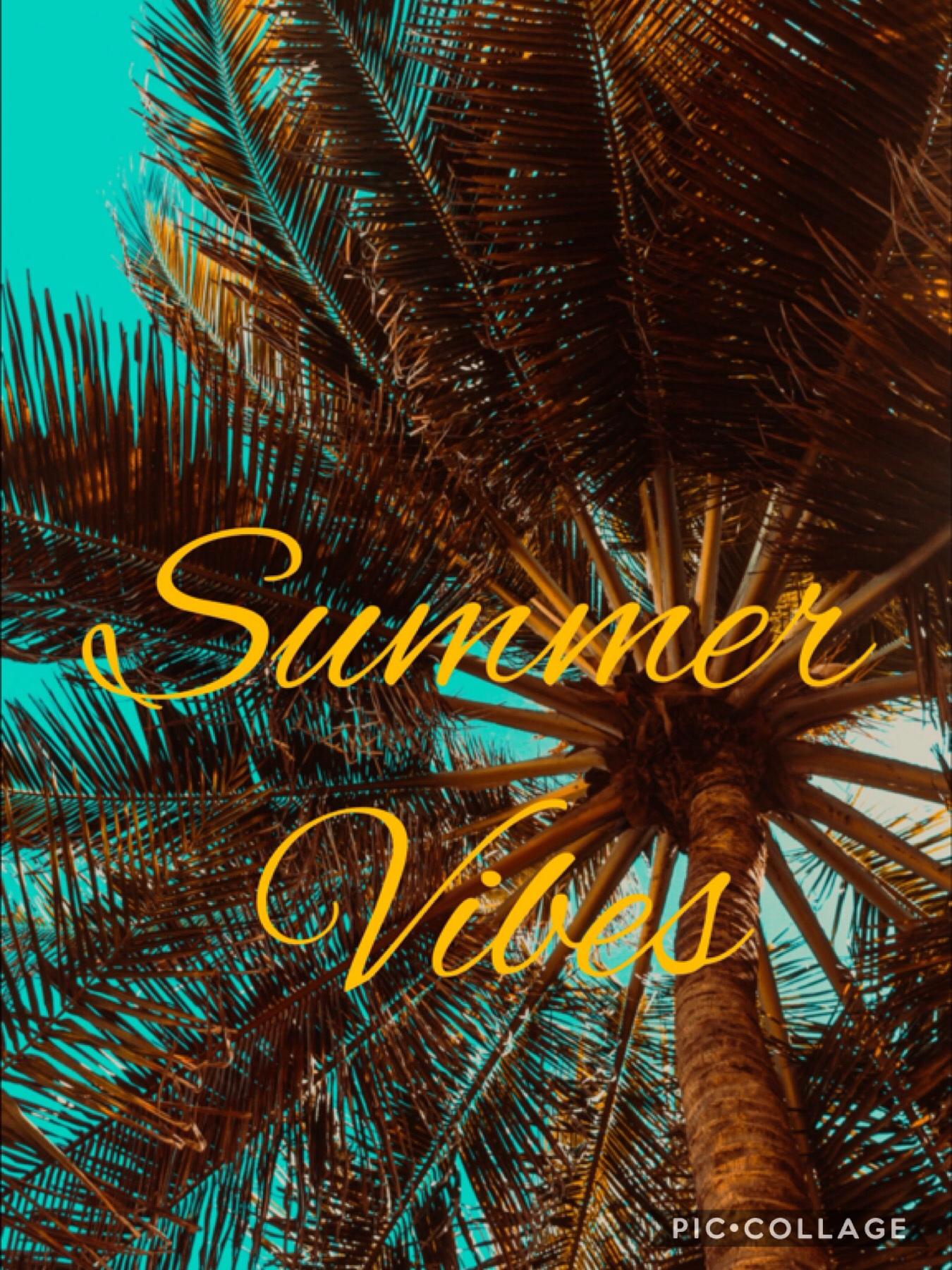 Summer ( Summer Vibes )