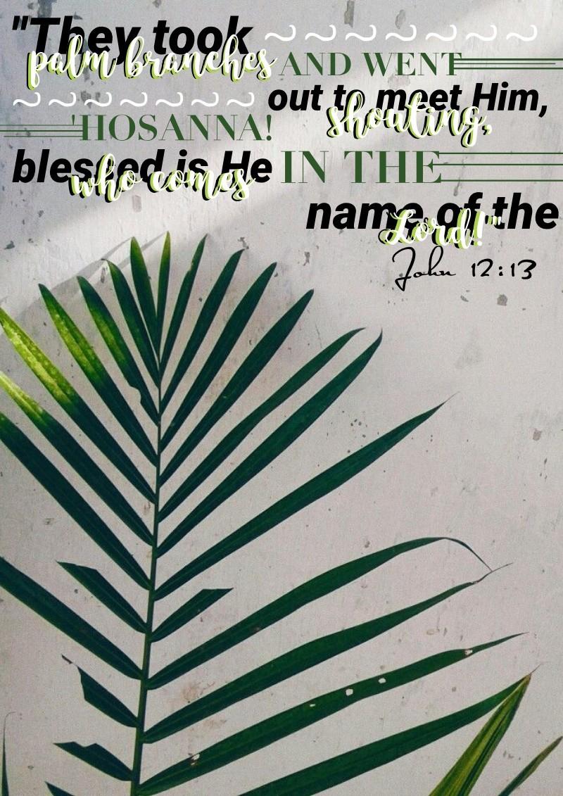 🌿4•10•22🌿 Happy Palm Sunday! Tap hereeee
ITS PALM SUNDAY!  in my church class were doing a VERY emotional skit:)) my friend Michael plays Jesus. I can't wait for easter! Caption will be in the comments soon w/ QOTD:) have a good day<3