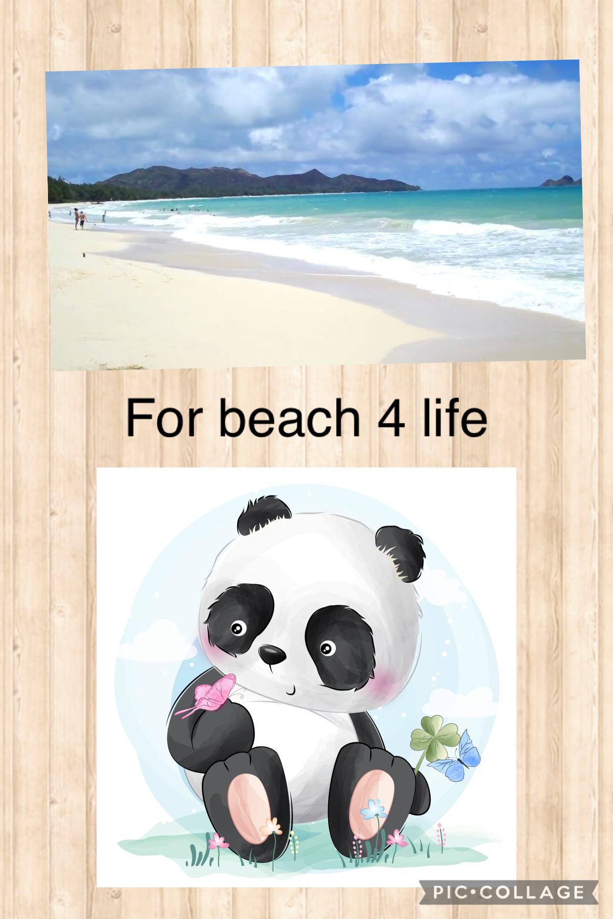 For beach 4 life
