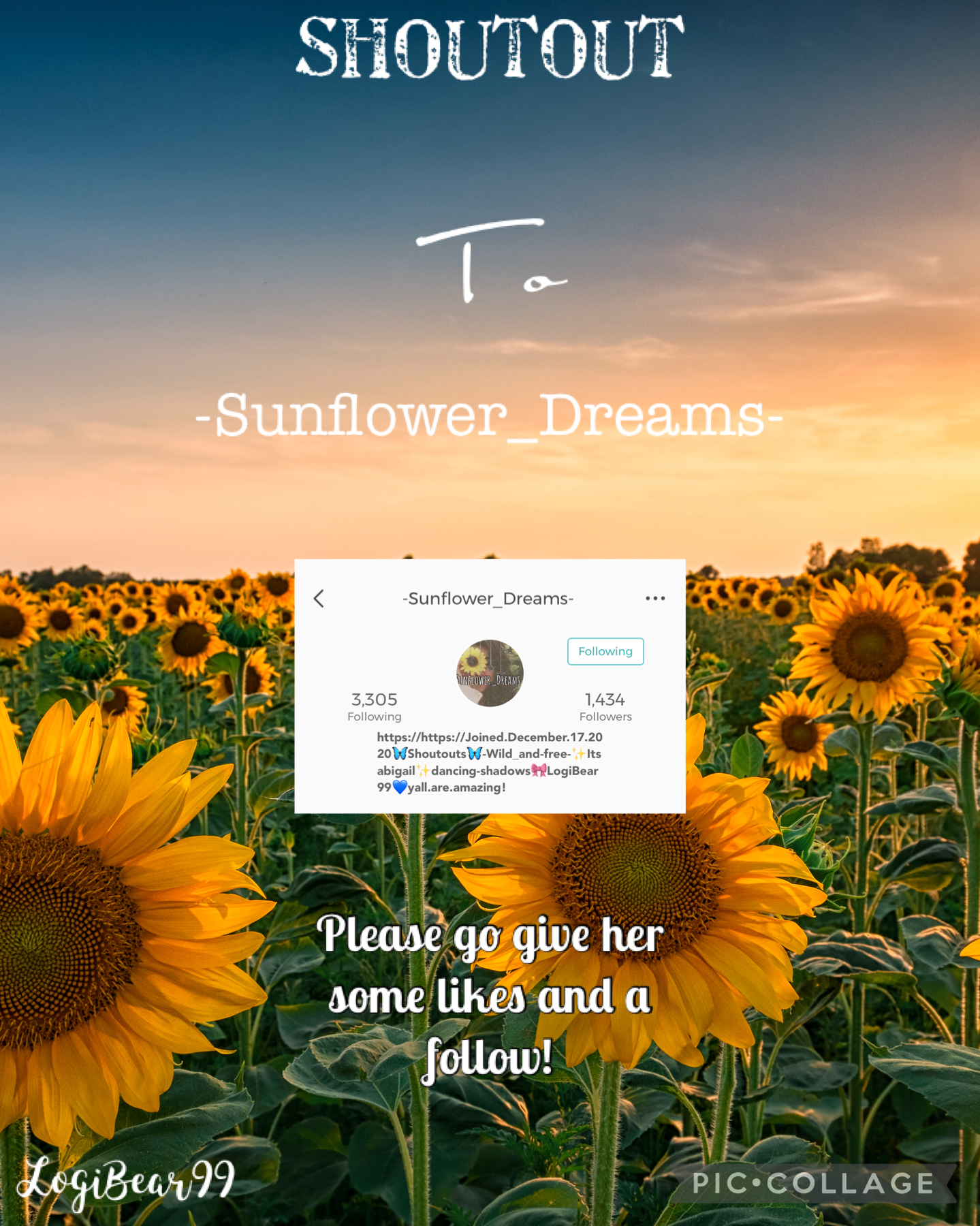🌻 Shoutout to Sunflower_Dreams 🌻 