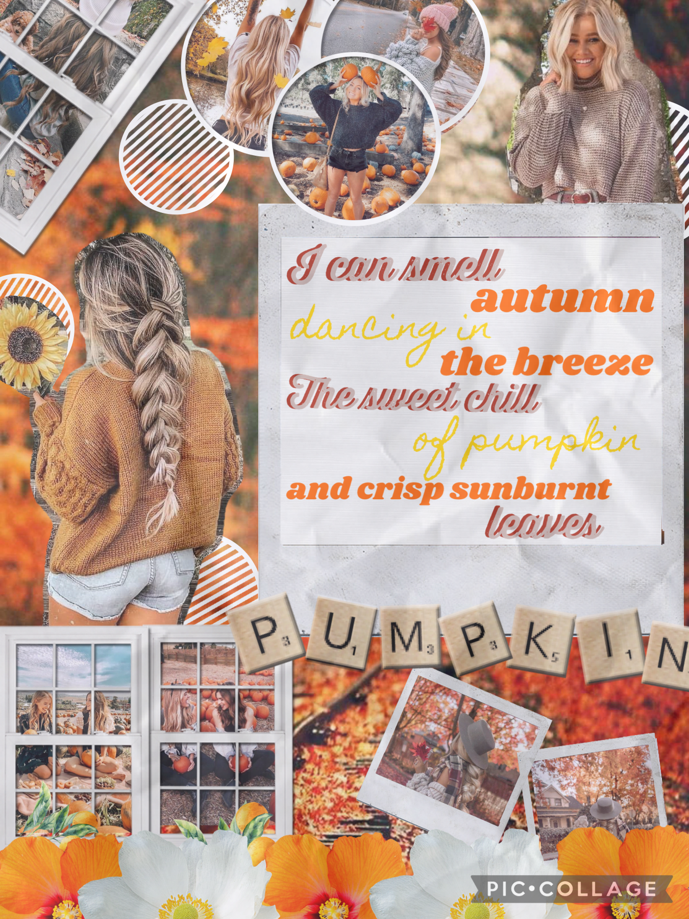 🎃Tap🎃 
Happy fall everyone hope you like this collage I worked almost like 30-35 minutes on this just for you all. I feel like I have not been talking to anyone lately how are you all?