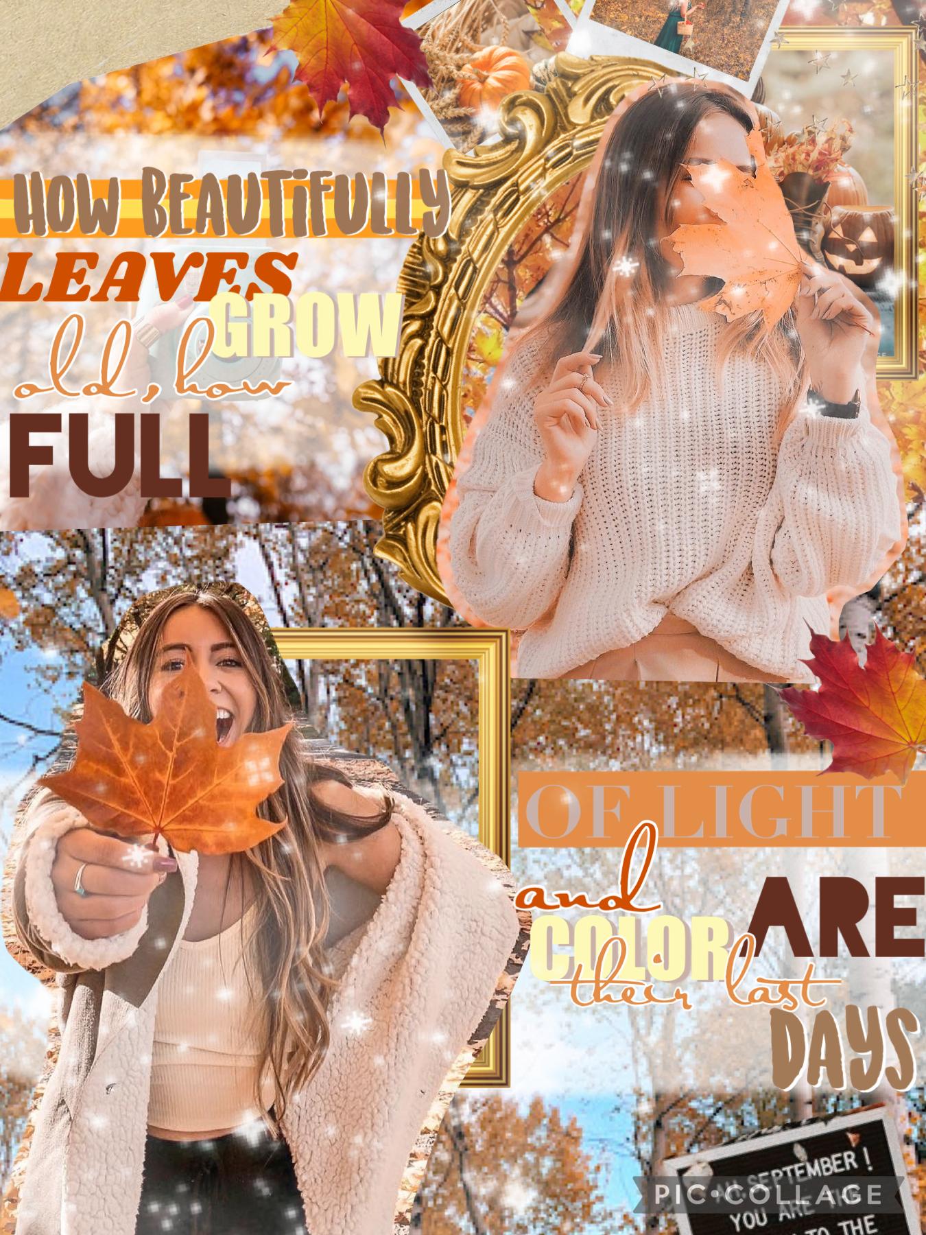 🍁Tap🍁
This was an entry to Just roses contest aka Laura. I thought I would post this because it took several days, because I would work on it before school cause that was like the only time I was not busy haha. I'll probably make a preppy collage similar 