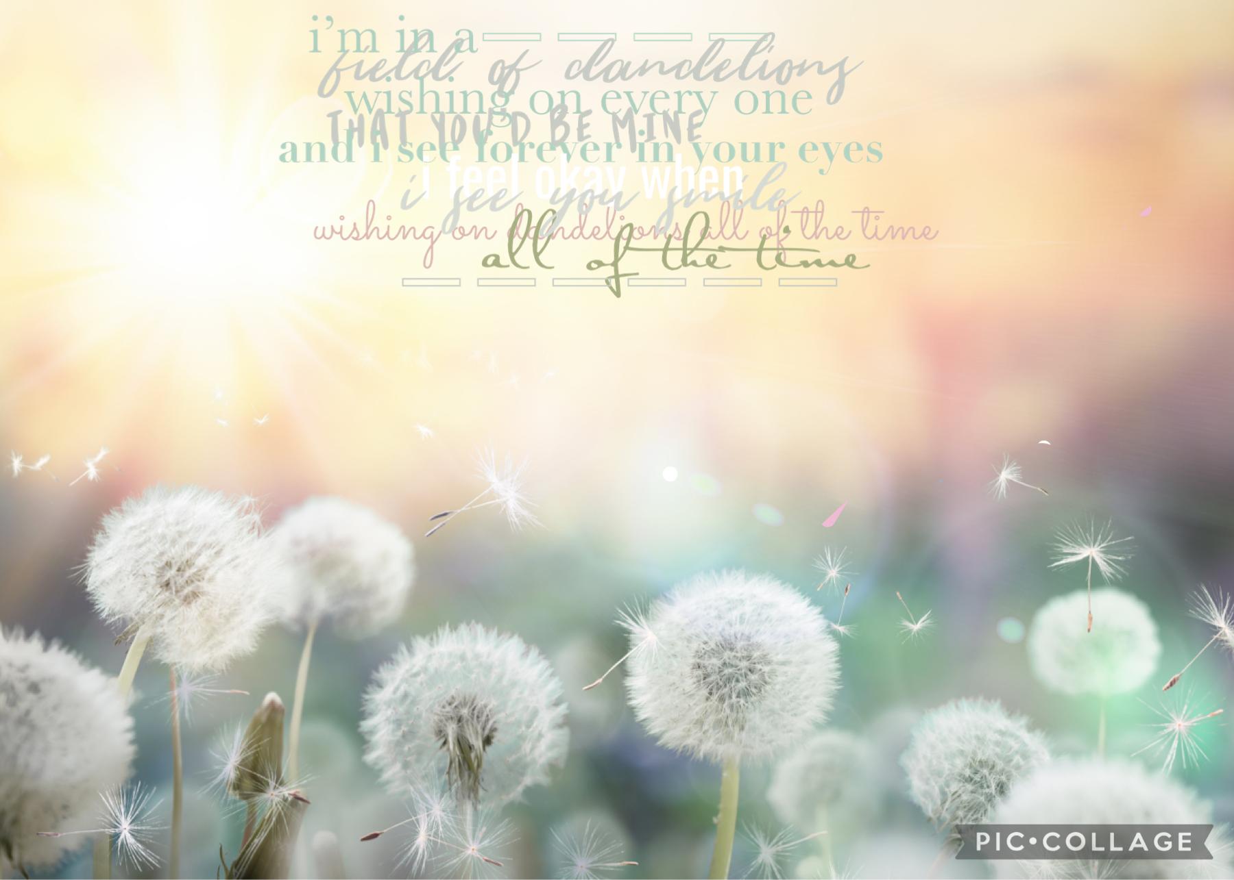 tap (3/22/2022) ELLA THIS IS FOR YOUUU
hey guys how are you today? i fell in LOVE with this bg and HAD to use it, sorry i haven’t been on a steady theme lately lol. 
sotd: dandelions by ruth b (duhhh) 