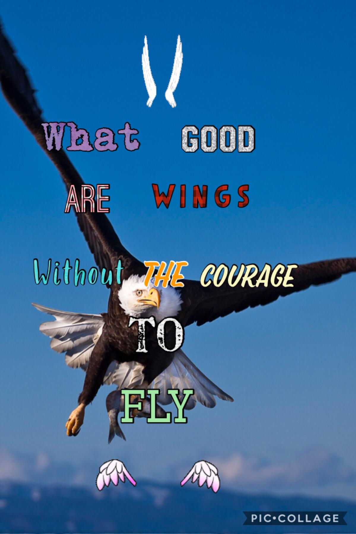 What good are Wings without courage 