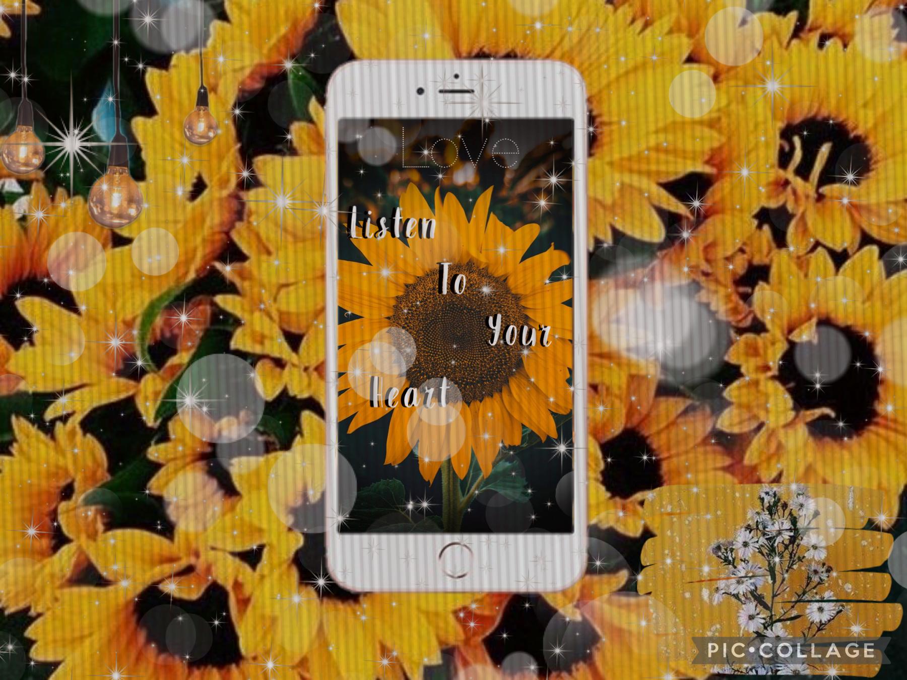 💛TAP💛
love/flower aesthetic sorry I couldn’t pick