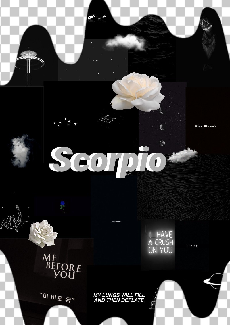 Scorpio - my zodiac😋😘