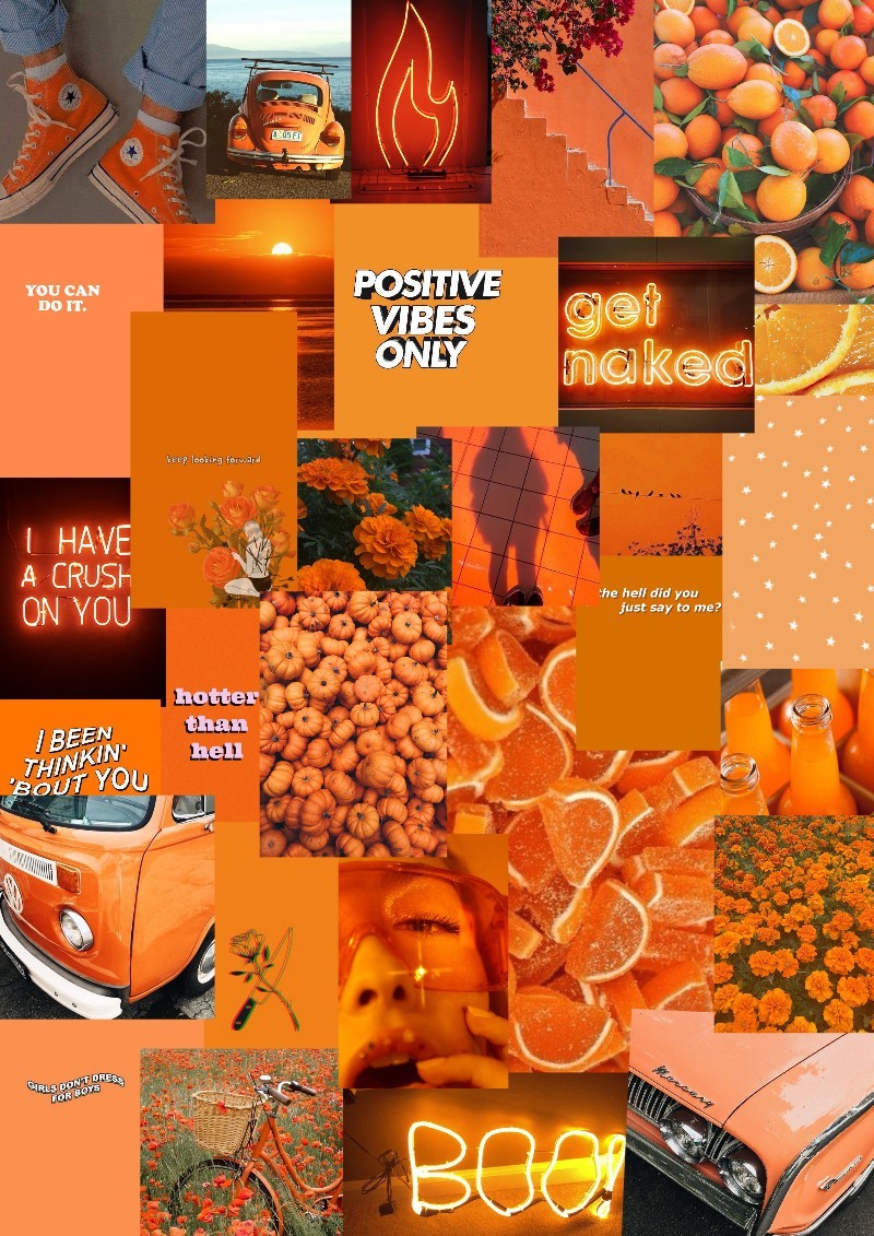 orange aesthetic. sorry I haven't been posting much