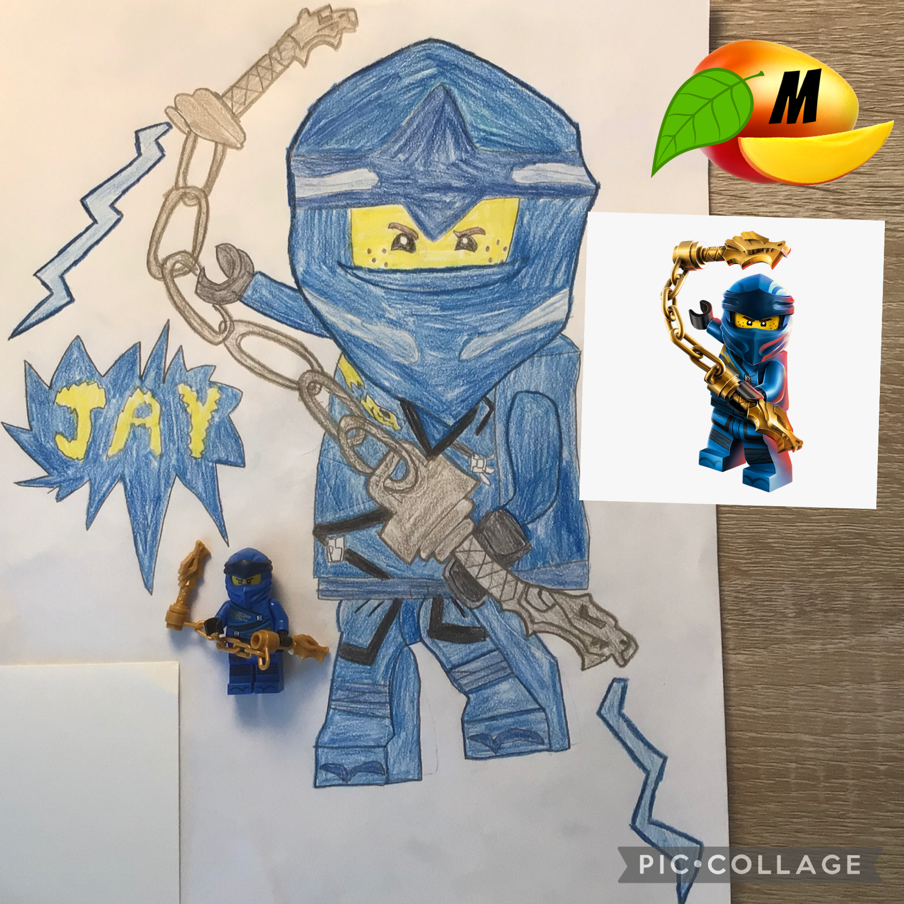 Jay drawing