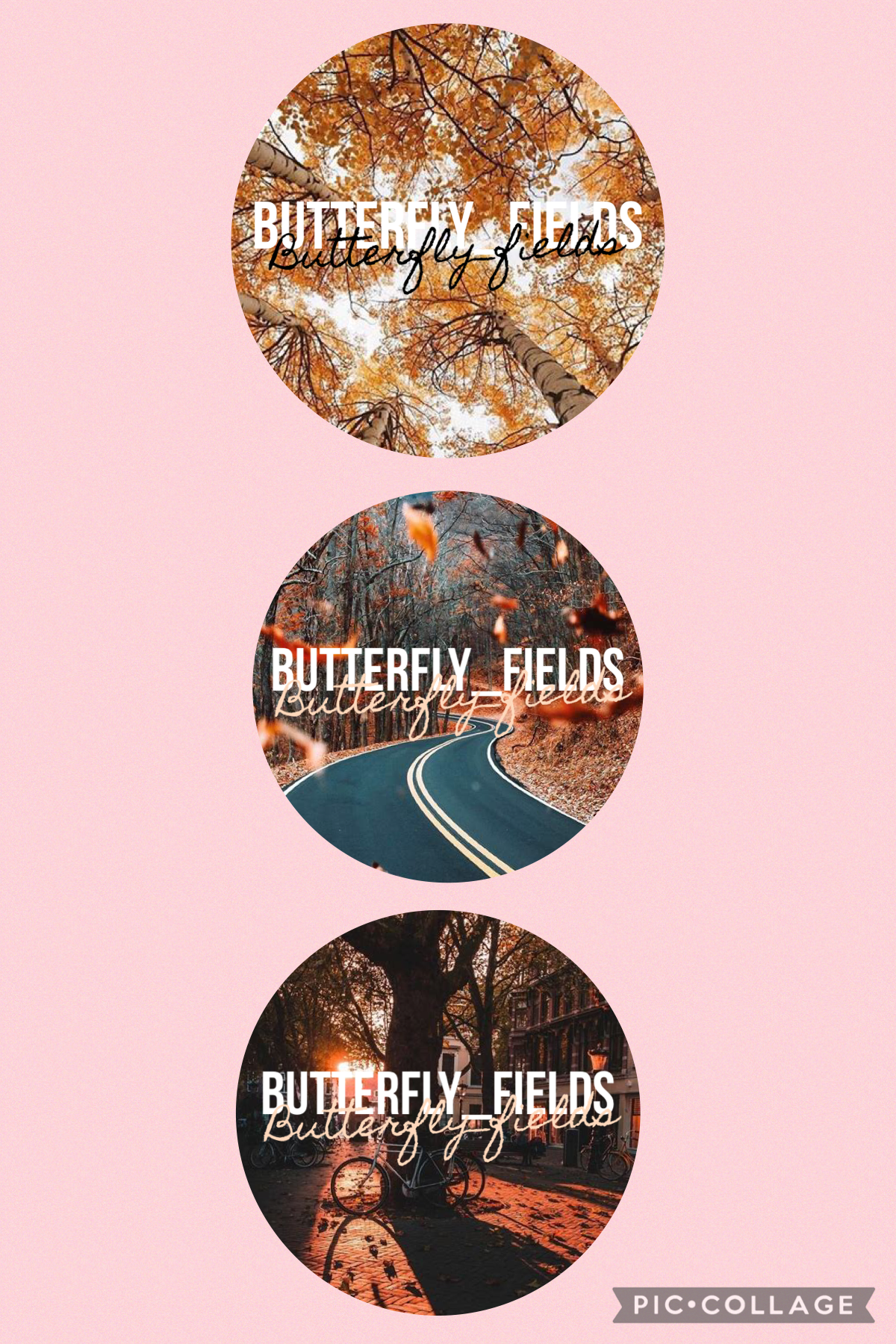 Butterfly_fields icons 