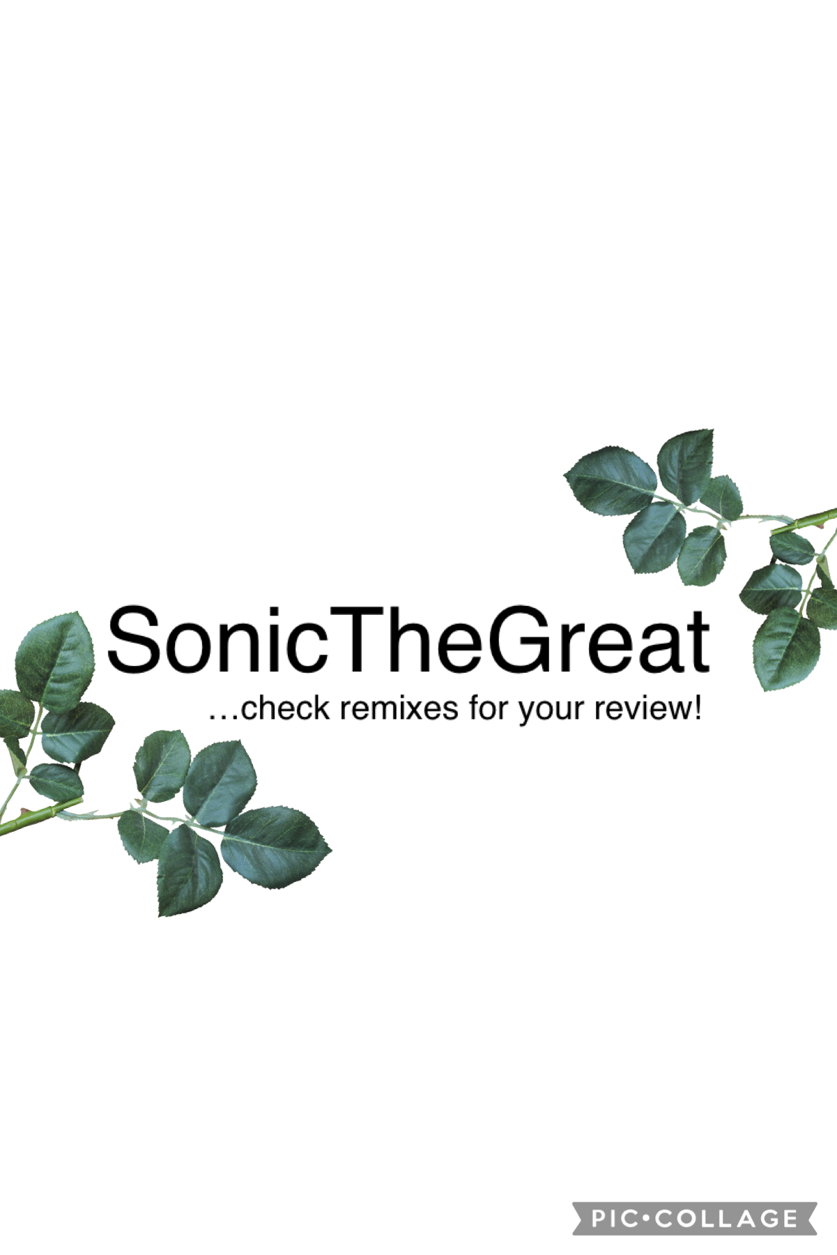Check remixes for your review!