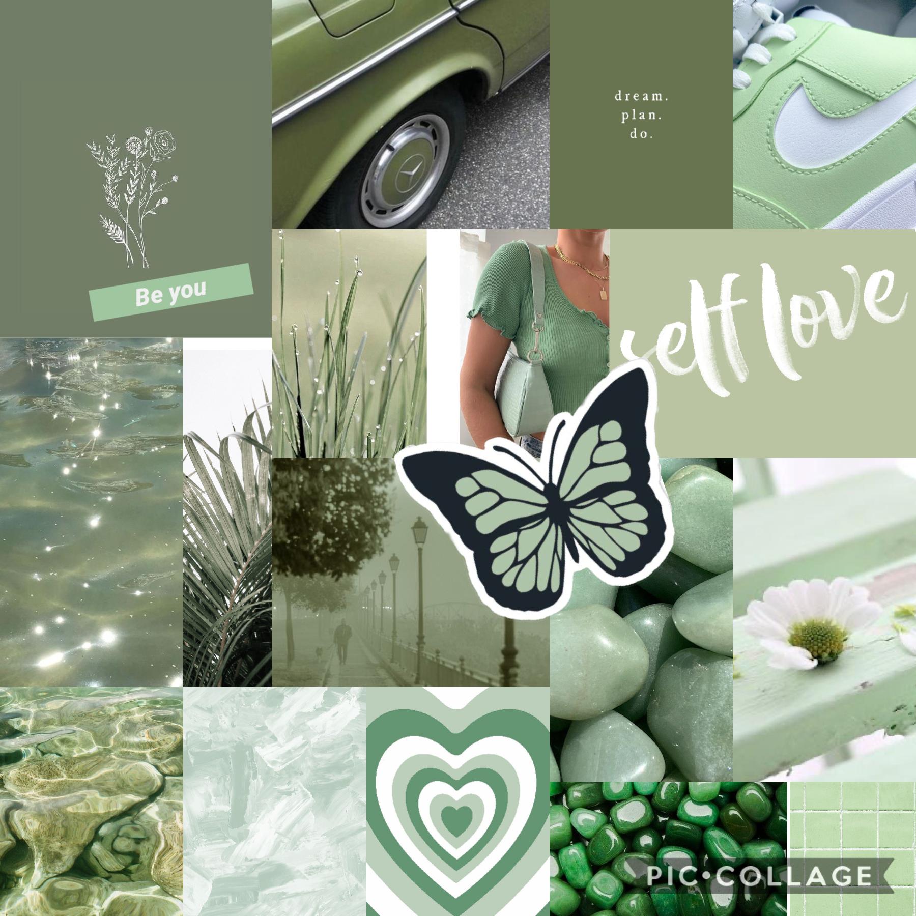 Sage green collage