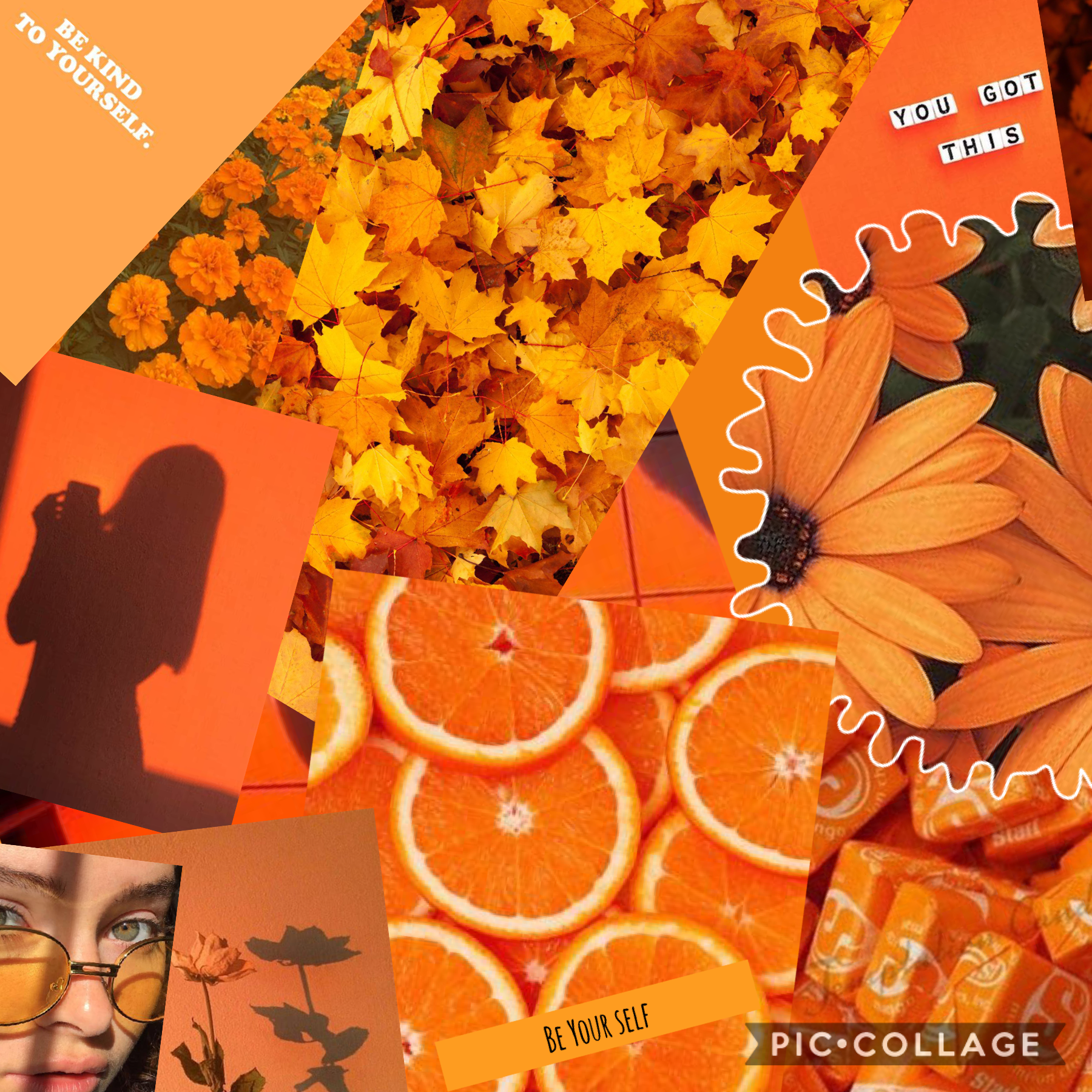 Orange collage